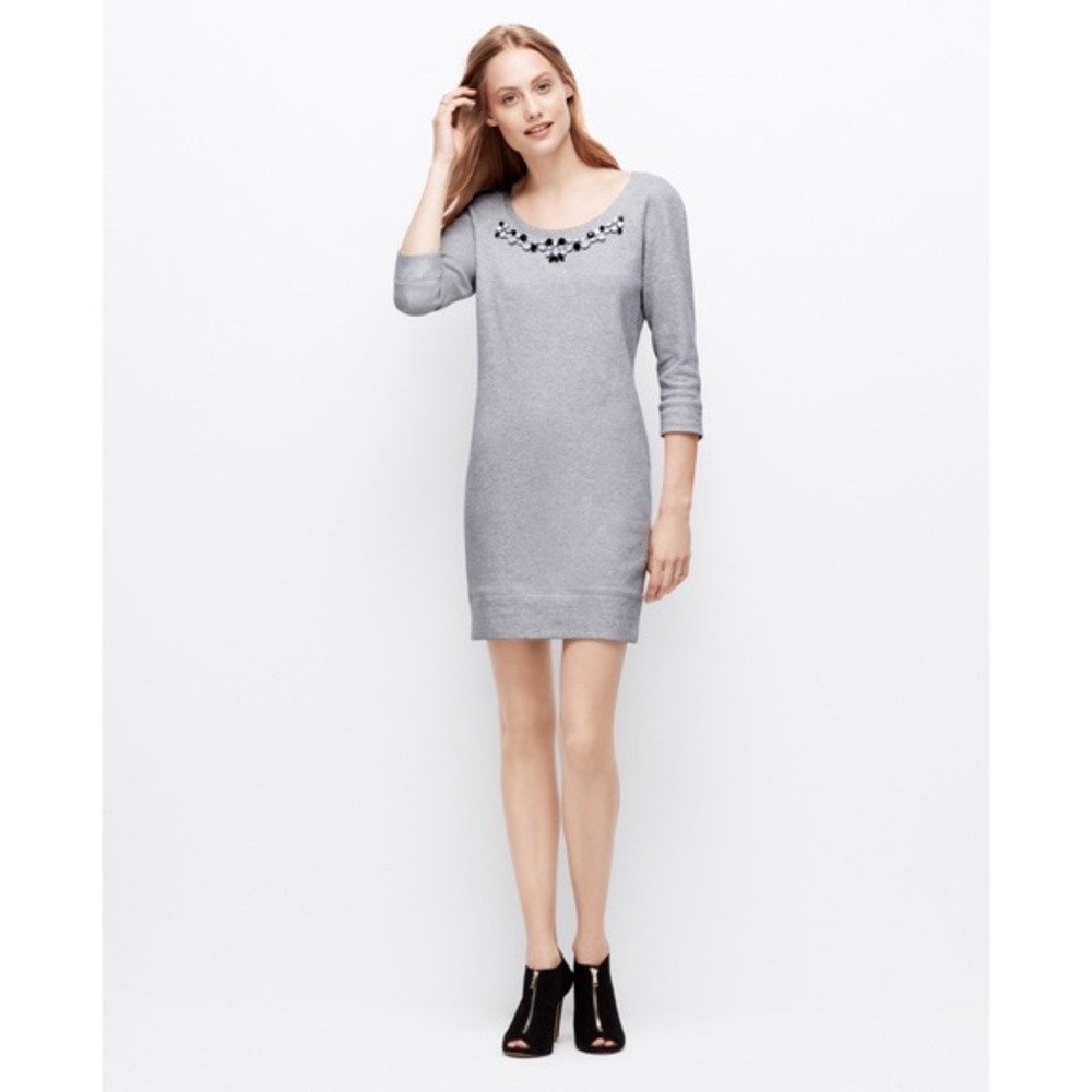 LIKE NEW Ann Taylor Embellished Sweatshirt Dress